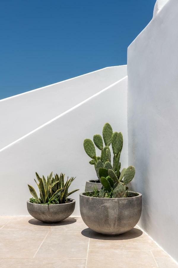 Avra Mykonos Hotel Túrlosz Kültér fotó